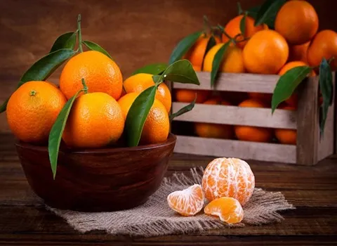 خرید و قیمت نارنگی یافا در ایران + فروش عمده