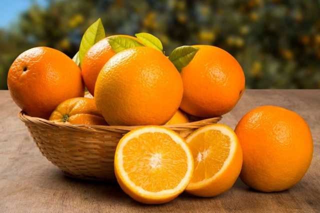 قیمت خرید پرتقال تامسون ایرانی با فروش عمده