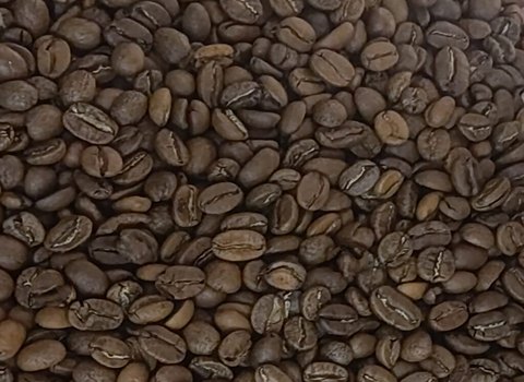 قیمت قهوه عربیکا کلمبیا با کیفیت ارزان + خرید عمده