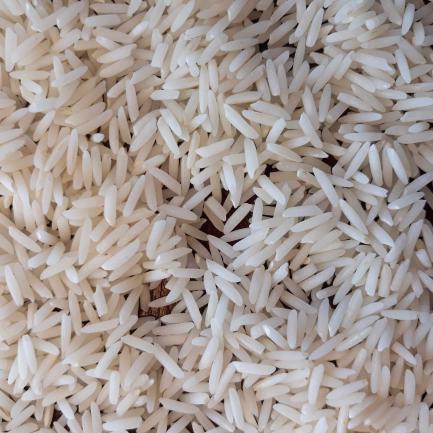 قیمت خرید برنج دمسیاه استخوانی آستانه اشرفیه عمده به صرفه و ارزان