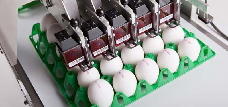 خرید و فروش کارتریج جت پرینتر تخم مرغ با شرایط فوق العاده