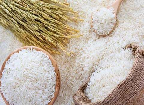 قیمت برنج دم سیاه اعلا گرگان + خرید باور نکردنی