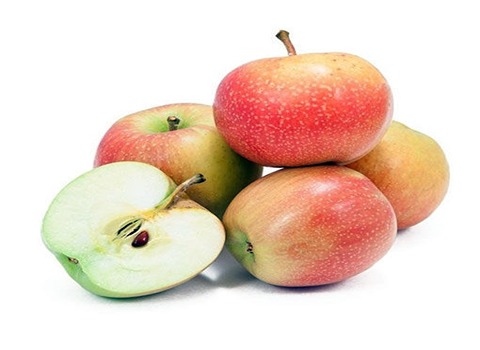 خرید و فروش سیب گلاب خراسان با شرایط فوق العاده