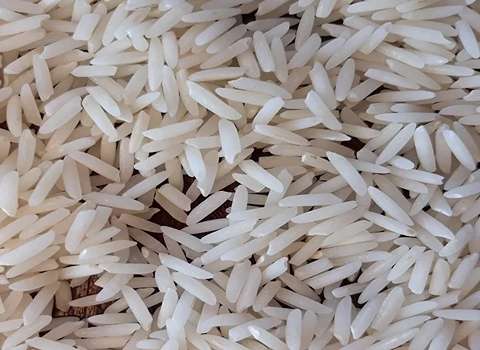 https://shp.aradbranding.com/فروش برنج دم سیاه اشرافی + قیمت خرید به صرفه