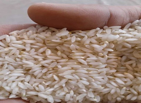 قیمت خرید برنج خوزستان عنبربو  با فروش عمده