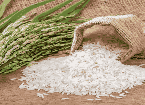 خرید و قیمت برنج ایرانی 5 کیلویی + فروش عمده