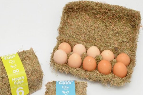 خرید جعبه تخم مرغ محلی + قیمت فروش استثنایی