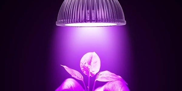 خرید لامپ uv گیاه + قیمت فروش استثنایی
