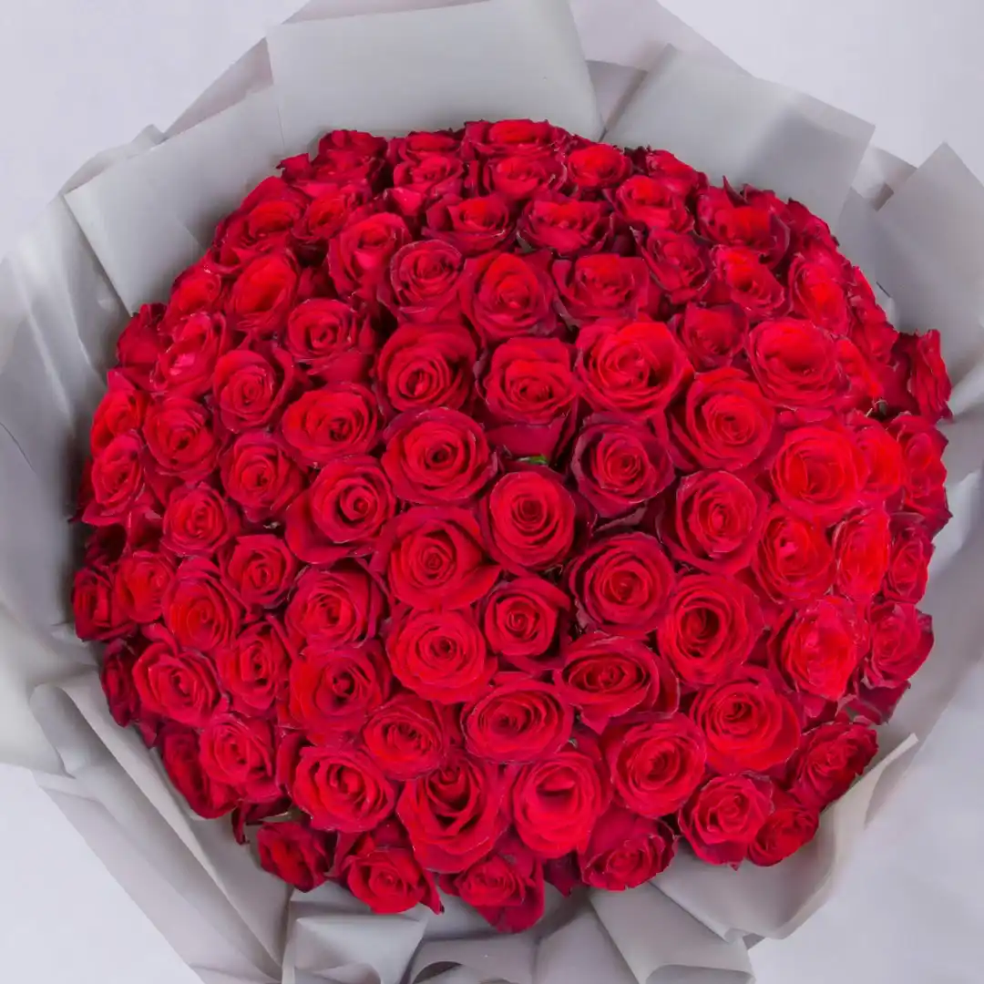 خرید دسته گل رز هلندی قرمز + قیمت فروش استثنایی