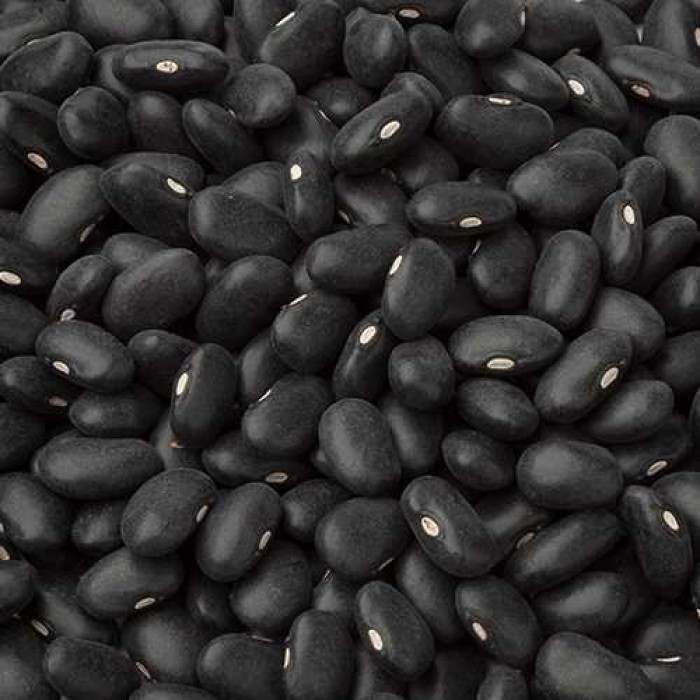 https://shp.aradbranding.com/قیمت خرید لوبیا سیاه در تهران + فروش ویژه