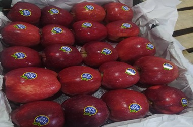قیمت سیب صادراتی درجه یک + خرید باور نکردنی