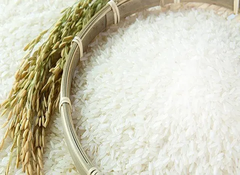 خرید و قیمت برنج هاتی کارا گلستان ۵ کیلویی + فروش صادراتی