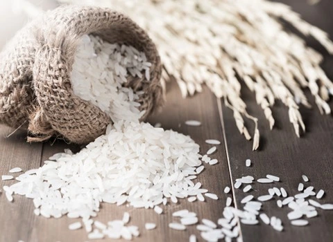 قیمت خرید برنج هاشمي گيلان + فروش ویژه
