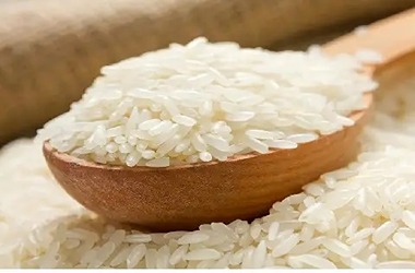 قیمت خرید برنج شیرودی صادراتی + فروش ویژه