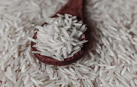 https://shp.aradbranding.com/خرید برنج فجر درجه یک شمال + قیمت فروش استثنایی