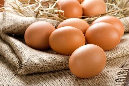 خرید و فروش تخم مرغ بومی عمده با شرایط فوق العاده