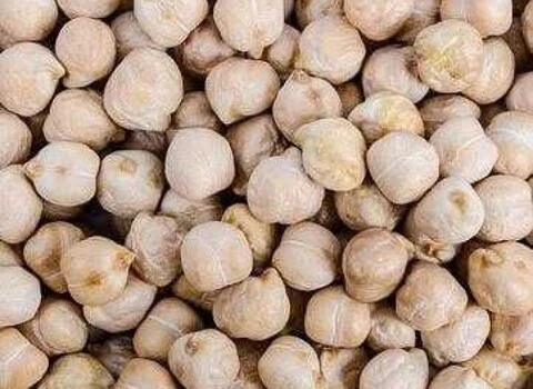 https://shp.aradbranding.com/قیمت خرید نخود سفید ایرانی عمده به صرفه و ارزان