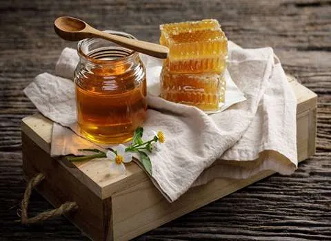 خرید و فروش عسل طبیعی گشنیز با شرایط فوق العاده