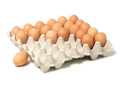 خرید شانه تخم مرغ دست دوم + قیمت فروش استثنایی