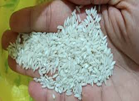 خرید و فروش برنج عنبر بو دودی درجه یک با شرایط فوق العاده