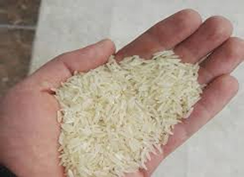 قیمت خرید برنج فجر اعلا شمال عمده به صرفه و ارزان