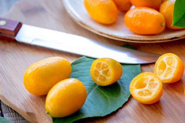 https://shp.aradbranding.com/قیمت خرید پرتقال کوچک خارجی با فروش عمده