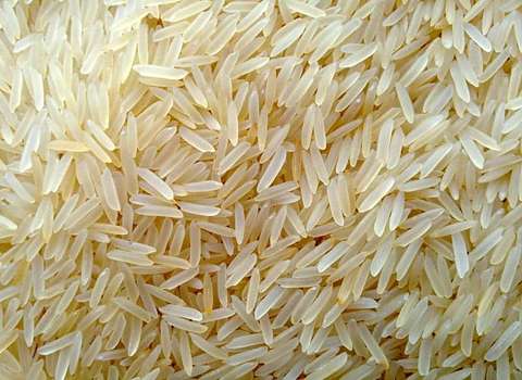 خرید برنج ایرانی معطر شمال + قیمت فروش استثنایی