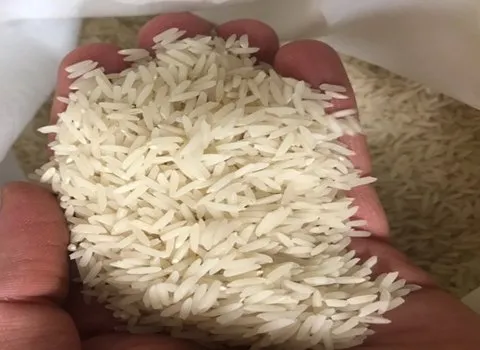 خرید و قیمت برنج دمسیاه اصفهان + فروش عمده