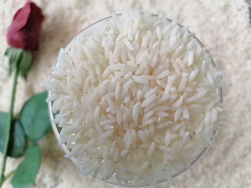 https://shp.aradbranding.com/خرید و قیمت برنج شیرودی ۵ کیلویی + فروش عمده