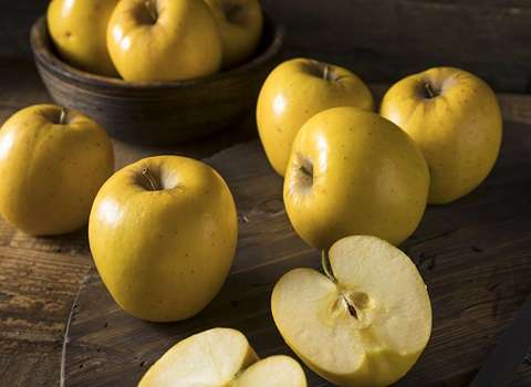 https://shp.aradbranding.com/قیمت خرید سیب لبنانی زرد + فروش ویژه