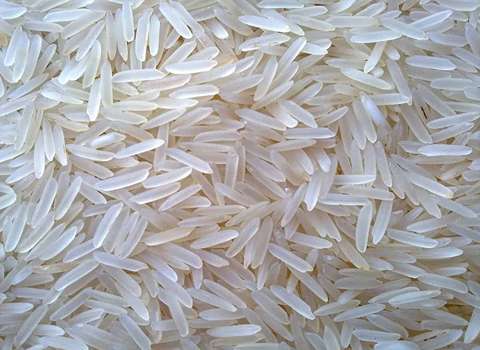 قیمت برنج ایرانی گلستان ۱۰ کیلوگرمی با کیفیت ارزان + خرید عمده