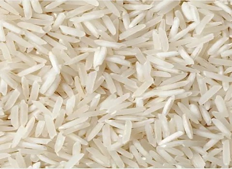 https://shp.aradbranding.com/فروش برنج شمالی هاشمی + قیمت خرید به صرفه