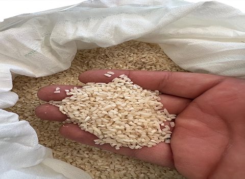 https://shp.aradbranding.com/فروش برنج دم سیاه عطری + قیمت خرید به صرفه