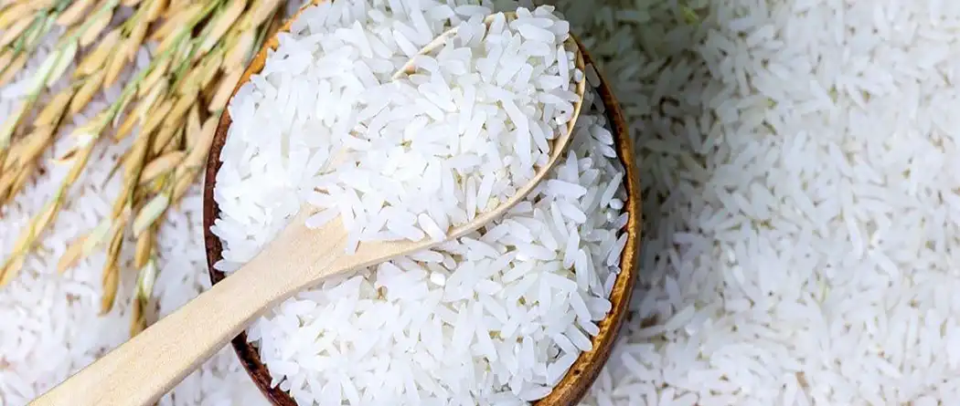 خرید برنج دمسیاه استخوانی گیلان + قیمت فروش استثنایی