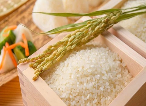 خرید و قیمت برنج کامفیروزی اصل + فروش صادراتی