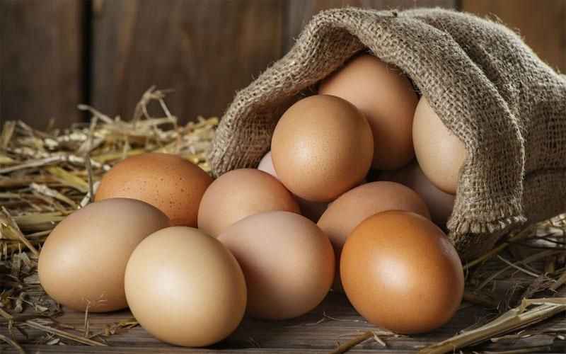 https://shp.aradbranding.com/قیمت تخم مرغ محلی مازندران با کیفیت ارزان + خرید عمده