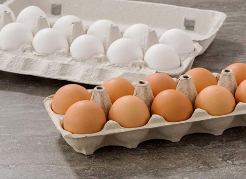 فروش شانه مقوایی تخم مرغ با مواد بازیافتی + خرید به صرفه