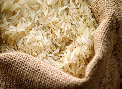 https://shp.aradbranding.com/فروش برنج محلی عنبربو شوشتر + قیمت خرید به صرفه