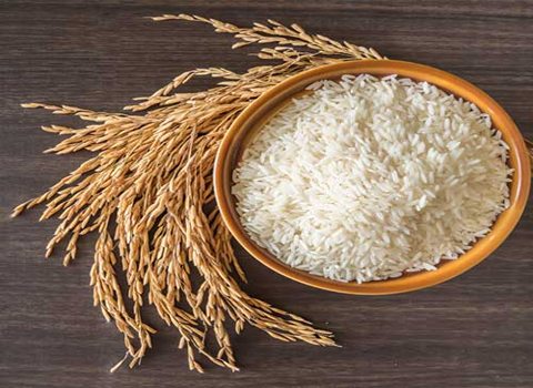 قیمت خرید برنج ایرانی ارزان + فروش ویژه