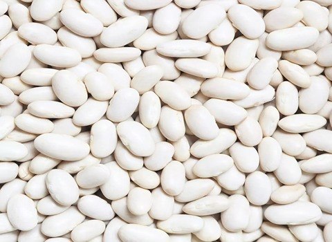 https://shp.aradbranding.com/قیمت خرید لوبیا سفید عمده به صرفه و ارزان