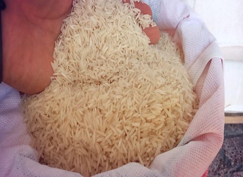 قیمت خرید برنج پاکستانی دوغزال با فروش عمده