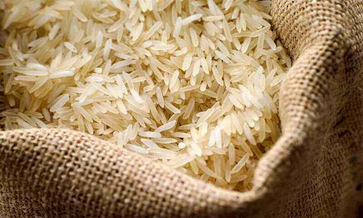 قیمت برنج طارم هاشمی فوق اعلا + خرید باور نکردنی