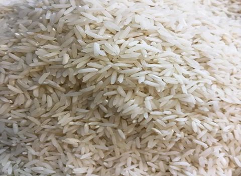 قیمت برنج طارم فریدونکنار کشت اول + خرید باور نکردنی