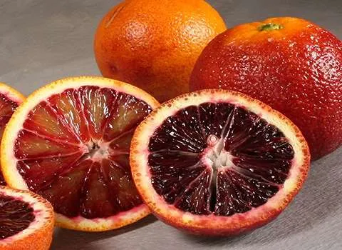 https://shp.aradbranding.com/قیمت خرید پرتقال خونی تامسون + فروش ویژه