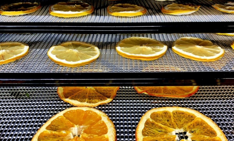 قیمت خرید پرتقال میوه خشک + فروش ویژه