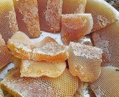 https://shp.aradbranding.com/خرید عسل طبیعی شهد طلایی + قیمت فروش استثنایی