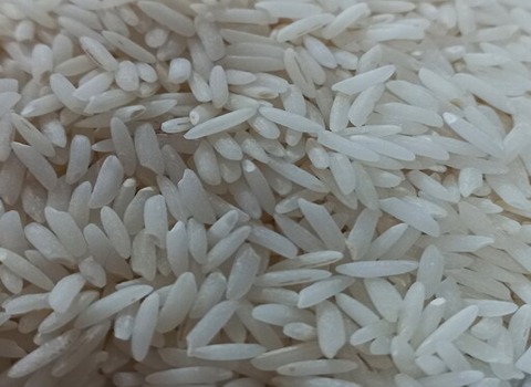 قیمت خرید برنج هاشمی ۵ کیلویی سفره عمده به صرفه و ارزان