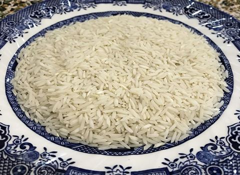 خرید و قیمت برنج فجر مازندران + فروش عمده
