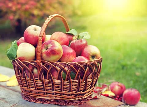 https://shp.aradbranding.com/قیمت خرید عمده سیب گلاب کهنز تابستانی ارزان و مناسب