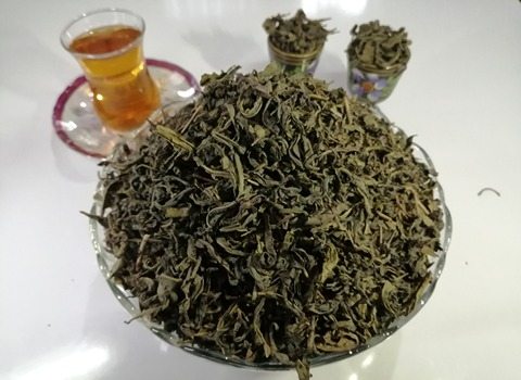 https://shp.aradbranding.com/خرید و فروش چای سبز ارگانیک با شرایط فوق العاده